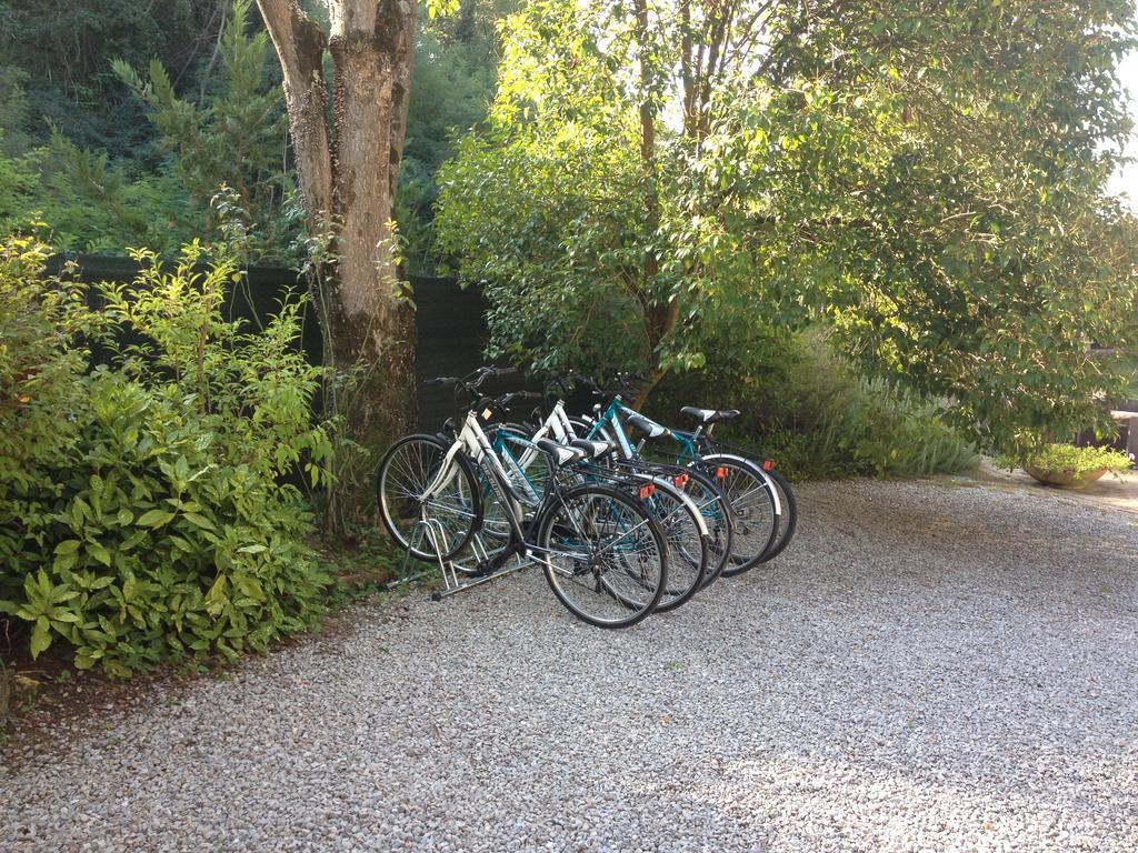 Agriturismo Il Paradiso Asciano Exterior foto