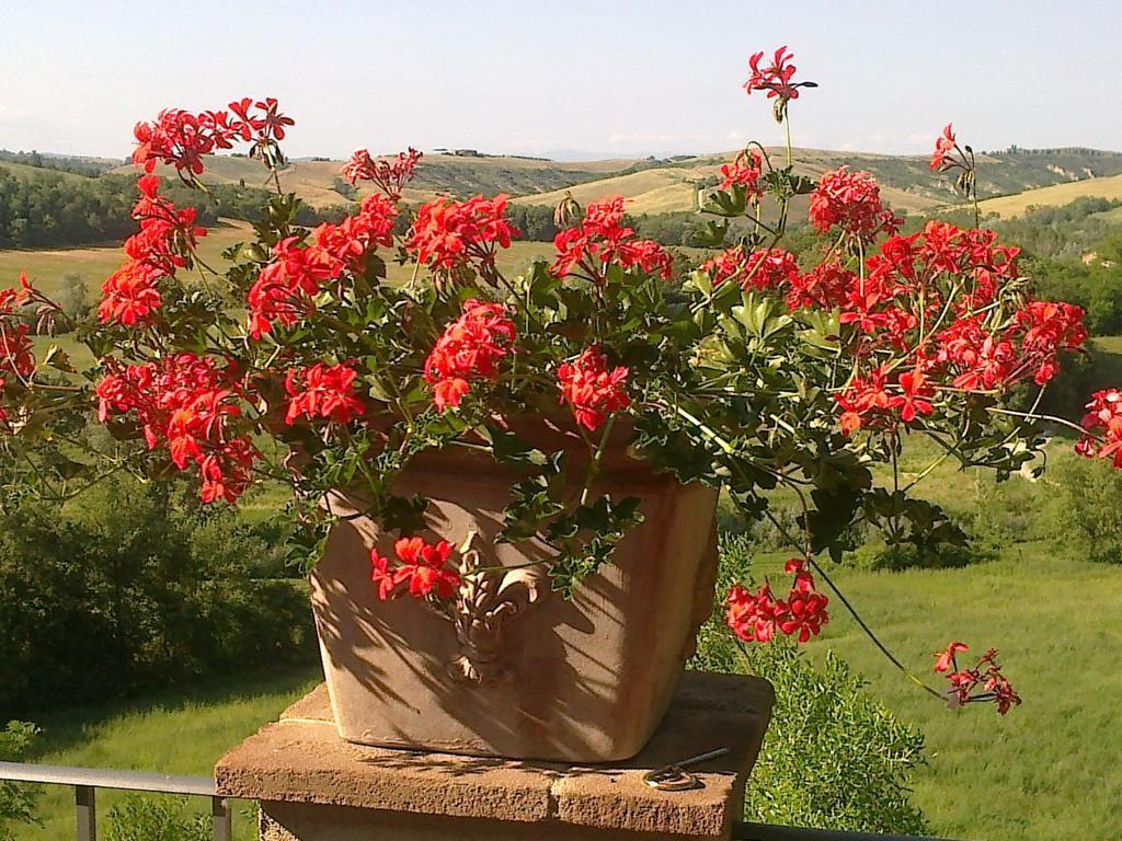 Agriturismo Il Paradiso Asciano Exterior foto