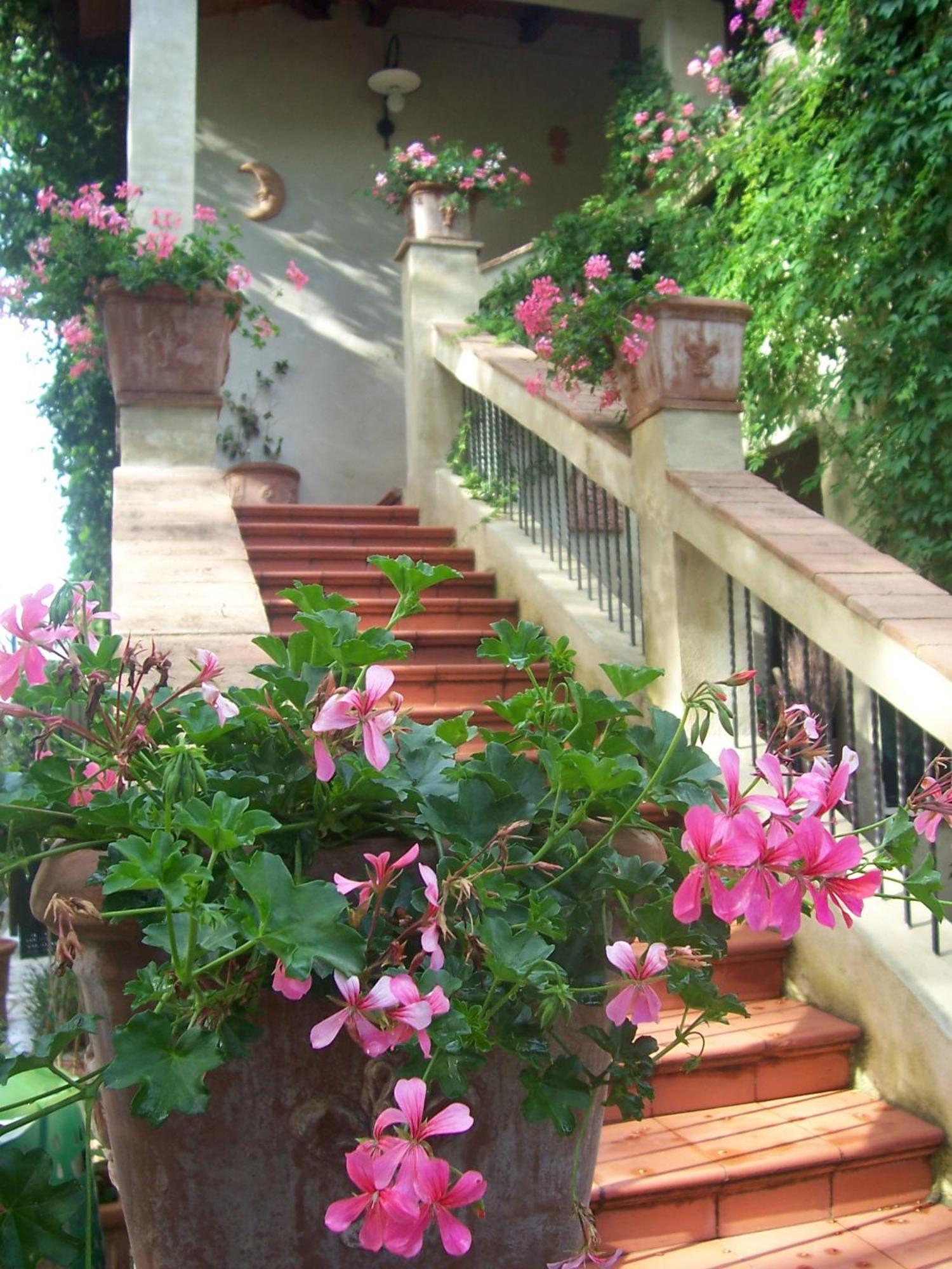 Agriturismo Il Paradiso Asciano Exterior foto